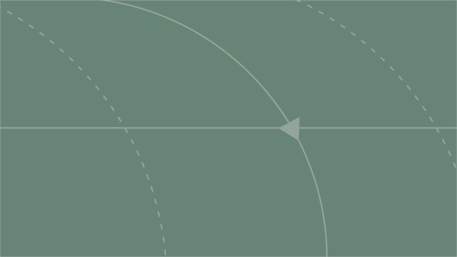 Virginia Leone Bicudo